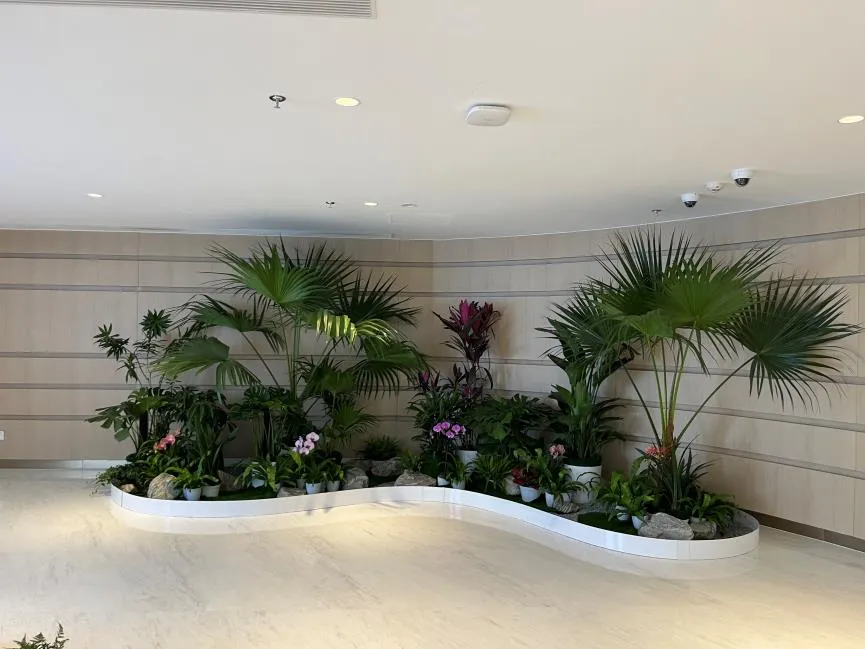 走进宁波绿化养护，感受绿色背后的努力！